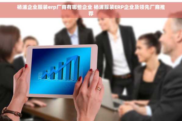 杨浦企业服装erp厂商有哪些企业 杨浦服装ERP企业及领先厂商推荐