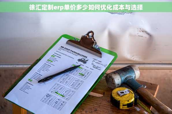 徐汇定制erp单价多少如何优化成本与选择