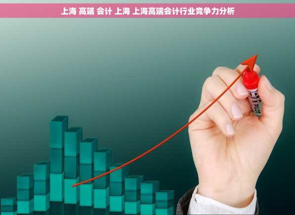 上海 高端 会计 上海 上海高端会计行业竞争力分析