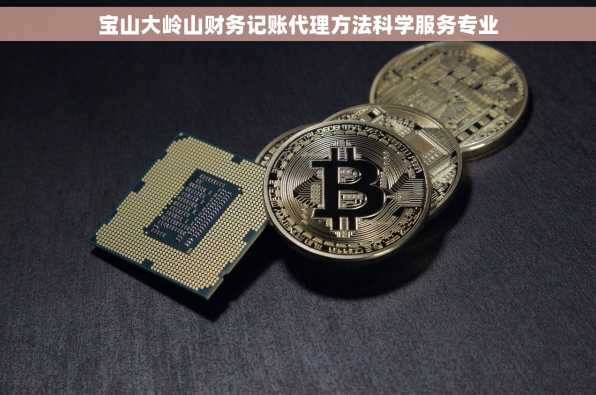 宝山大岭山财务记账代理方法科学服务专业