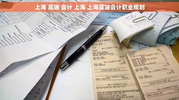 上海 高端 会计 上海 上海高端会计职业规划