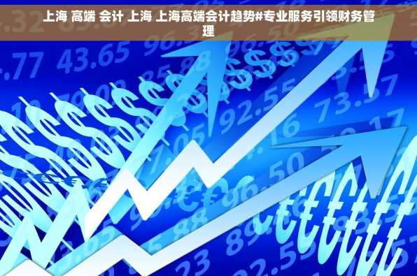 上海 高端 会计 上海 上海高端会计趋势#专业服务引领财务管理