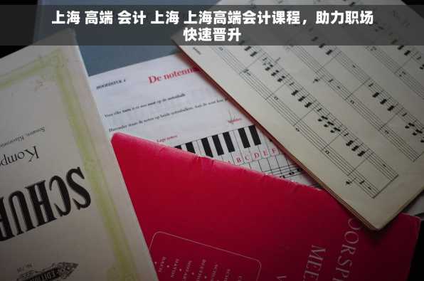 上海 高端 会计 上海 上海高端会计课程，助力职场快速晋升