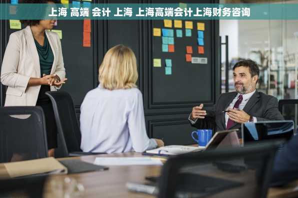 上海 高端 会计 上海 上海高端会计上海财务咨询