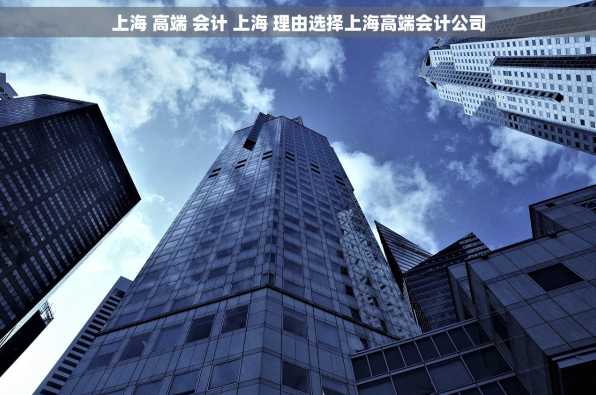 上海 高端 会计 上海 理由选择上海高端会计公司