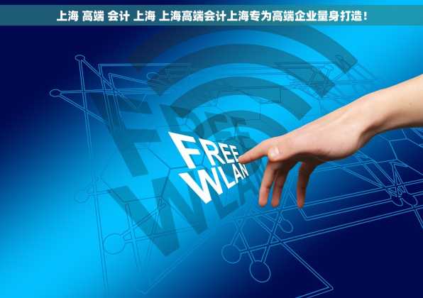 上海 高端 会计 上海 上海高端会计上海专为高端企业量身打造！