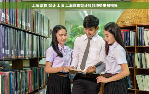 上海 高端 会计 上海 上海高端会计服务税务申报指导