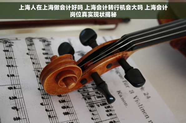 上海人在上海做会计好吗 上海会计转行机会大吗 上海会计岗位真实现状揭秘
