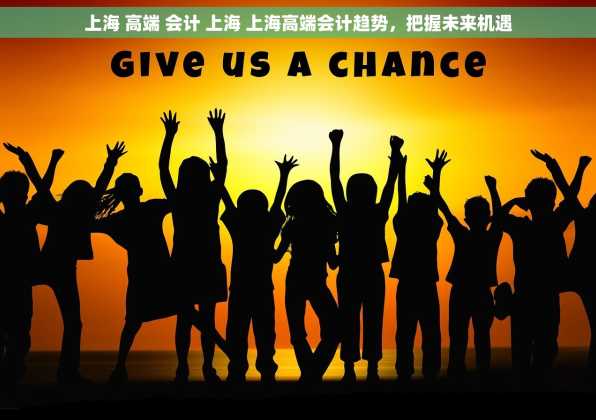 上海 高端 会计 上海 上海高端会计趋势，把握未来机遇