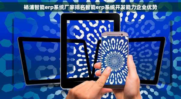 杨浦智能erp系统厂家排名智能erp系统开发能力企业优势