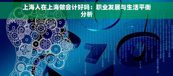 上海人在上海做会计好吗：职业发展与生活平衡分析