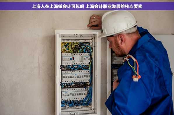 上海人在上海做会计可以吗 上海会计职业发展的核心要素
