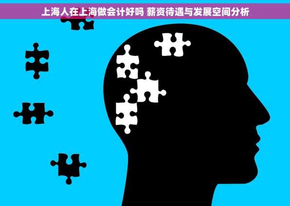上海人在上海做会计好吗 薪资待遇与发展空间分析