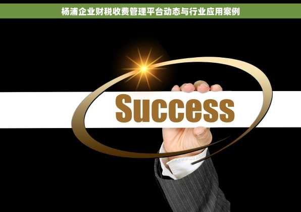 杨浦企业财税收费管理平台动态与行业应用案例
