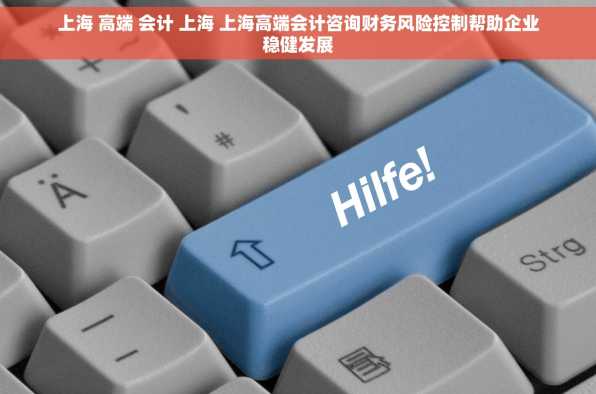 上海 高端 会计 上海 上海高端会计咨询财务风险控制帮助企业稳健发展