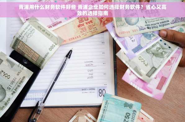 青浦用什么财务软件好些 青浦企业如何选择财务软件？省心又高效的选择指南