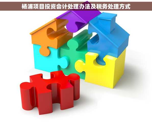 杨浦项目投资会计处理办法及税务处理方式