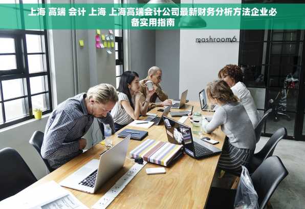 上海 高端 会计 上海 上海高端会计公司最新财务分析方法企业必备实用指南