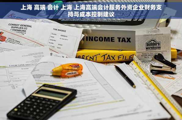 上海 高端 会计 上海 上海高端会计服务外资企业财务支持与成本控制建议