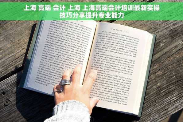 上海 高端 会计 上海 上海高端会计培训最新实操技巧分享提升专业能力