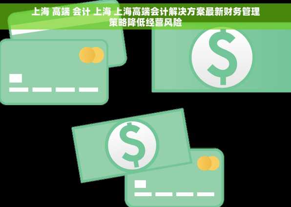 上海 高端 会计 上海 上海高端会计解决方案最新财务管理策略降低经营风险