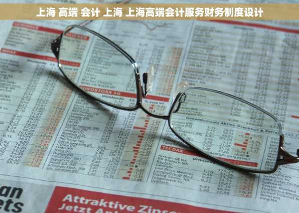 上海 高端 会计 上海 上海高端会计服务财务制度设计