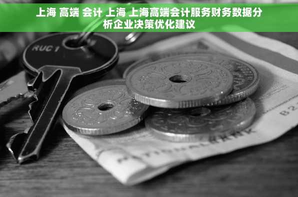 上海 高端 会计 上海 上海高端会计服务财务数据分析企业决策优化建议