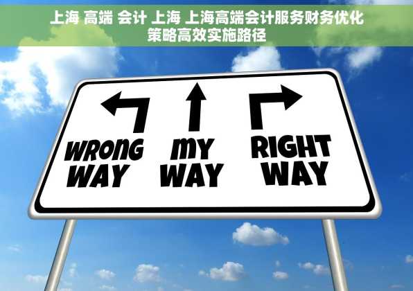 上海 高端 会计 上海 上海高端会计服务财务优化策略高效实施路径