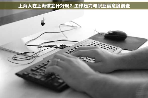 上海人在上海做会计好吗？工作压力与职业满意度调查