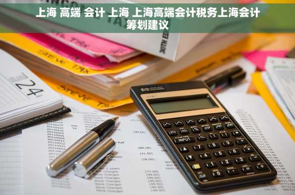 上海 高端 会计 上海 上海高端会计税务上海会计筹划建议