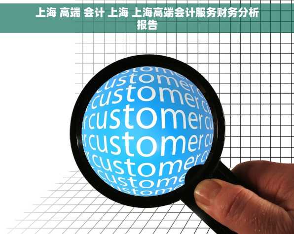 上海 高端 会计 上海 上海高端会计服务财务分析报告