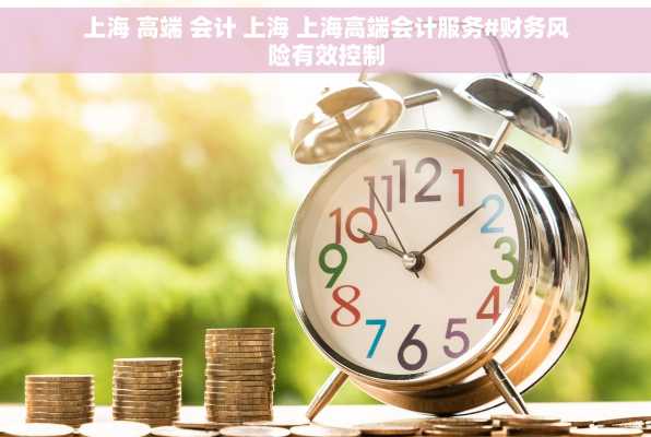 上海 高端 会计 上海 上海高端会计服务#财务风险有效控制