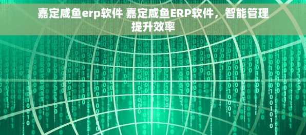 嘉定咸鱼erp软件 嘉定咸鱼ERP软件，智能管理提升效率