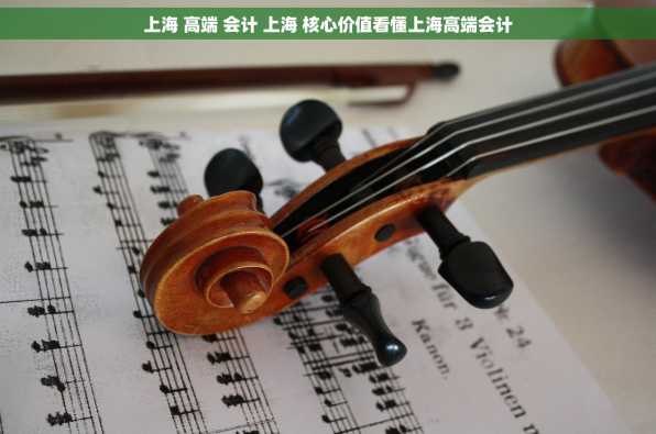 上海 高端 会计 上海 核心价值看懂上海高端会计