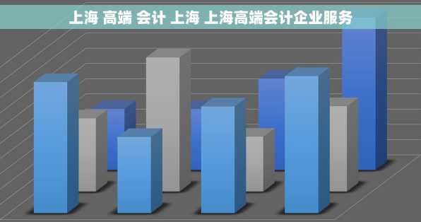 上海 高端 会计 上海 上海高端会计企业服务