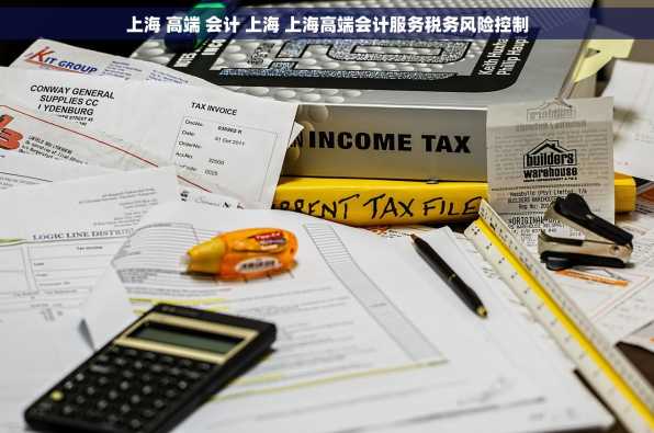 上海 高端 会计 上海 上海高端会计服务税务风险控制