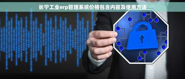 长宁工业erp管理系统价格包含内容及使用方法