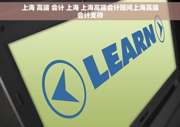 上海 高端 会计 上海 上海高端会计顾问上海高端会计支持