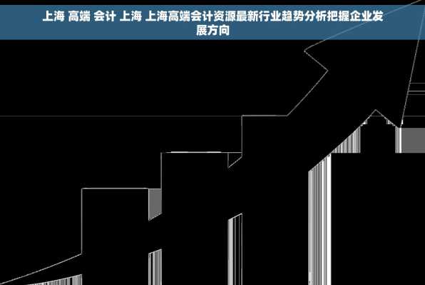 上海 高端 会计 上海 上海高端会计资源最新行业趋势分析把握企业发展方向