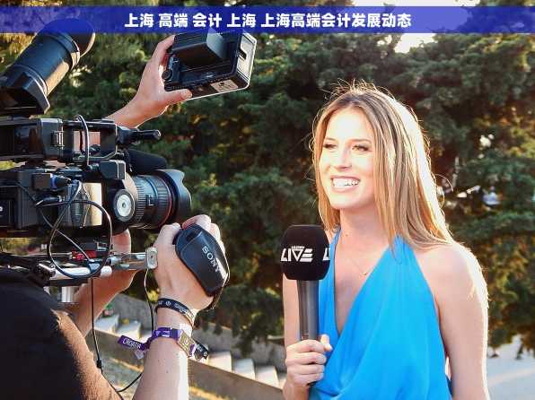 上海 高端 会计 上海 上海高端会计发展动态
