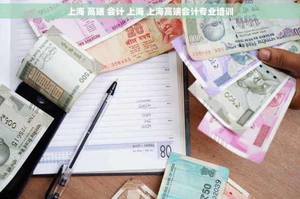 上海 高端 会计 上海 上海高端会计专业培训