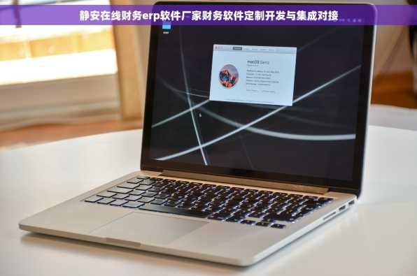 静安在线财务erp软件厂家财务软件定制开发与集成对接