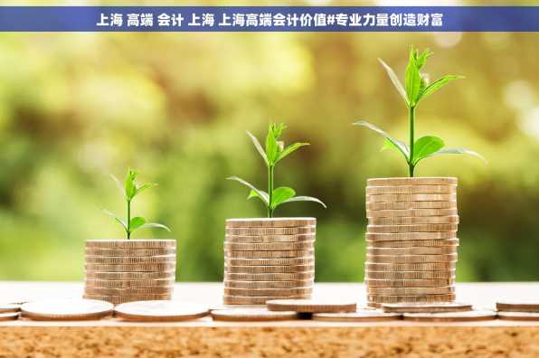 上海 高端 会计 上海 上海高端会计价值#专业力量创造财富