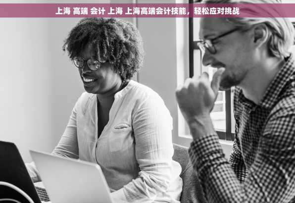 上海 高端 会计 上海 上海高端会计技能，轻松应对挑战