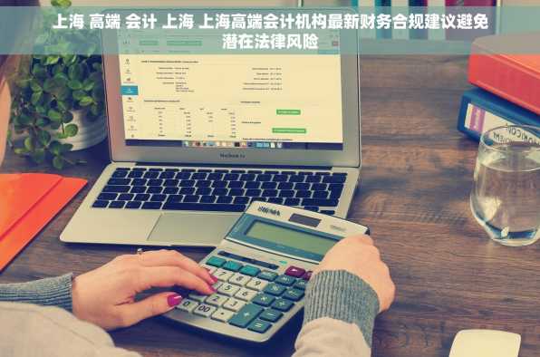 上海 高端 会计 上海 上海高端会计机构最新财务合规建议避免潜在法律风险