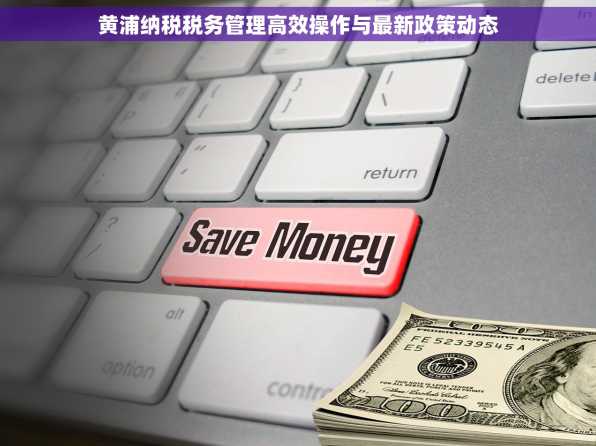 黄浦纳税税务管理高效操作与最新政策动态