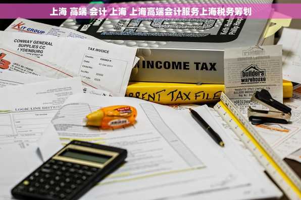 上海 高端 会计 上海 上海高端会计服务上海税务筹划