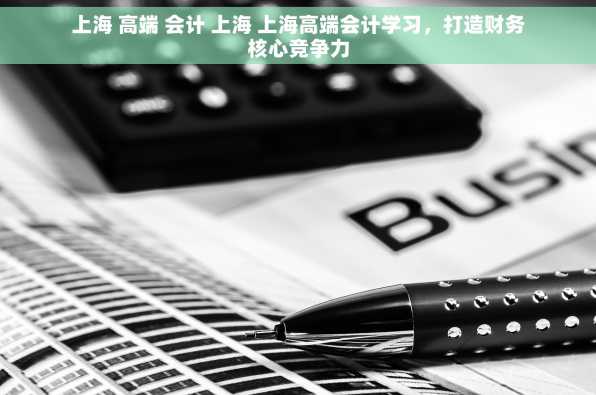上海 高端 会计 上海 上海高端会计学习，打造财务核心竞争力