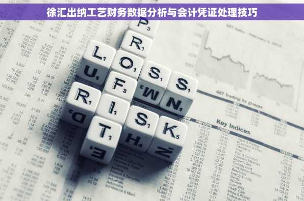 徐汇出纳工艺财务数据分析与会计凭证处理技巧