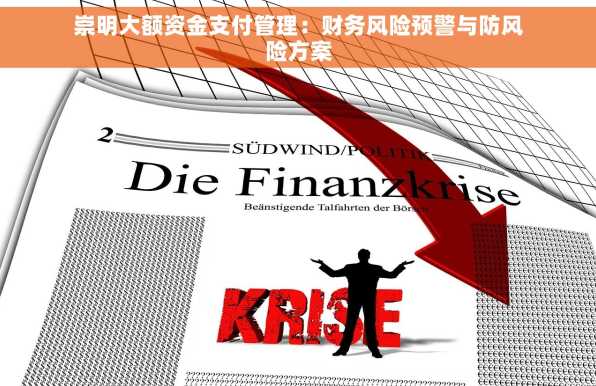 崇明大额资金支付管理：财务风险预警与防风险方案